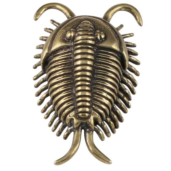Trilobite  Brass & Copper Feng Shui Charm - Picture 1 of 1
